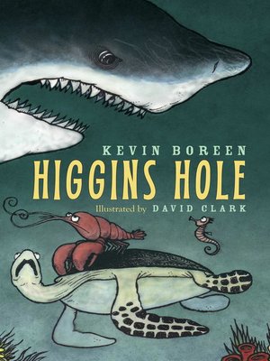 cover image of Higgins Hole